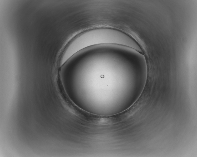 X0000111180060200907011418