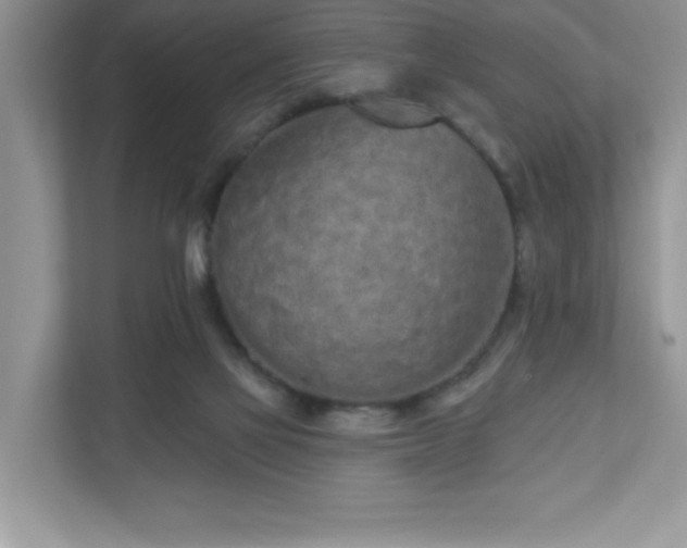 X0000111180069200907011418