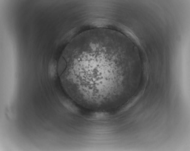 X0000111180073200907011418