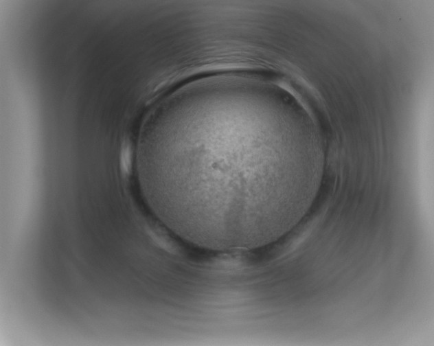 X0000111180076200907011418