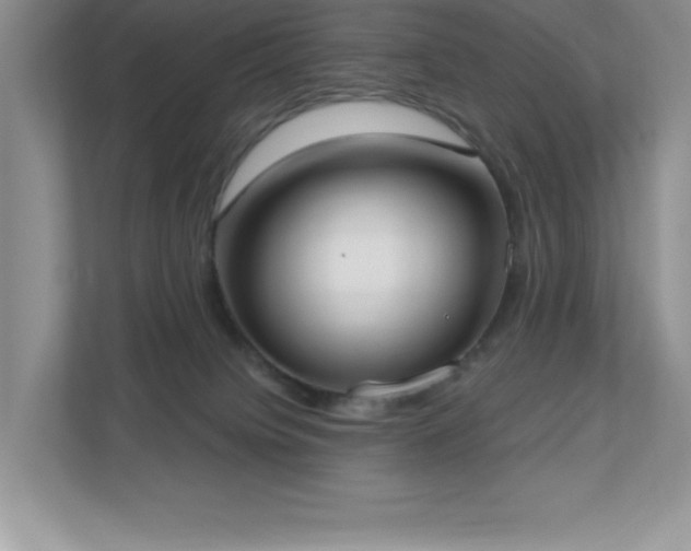 X0000111180084200907011418