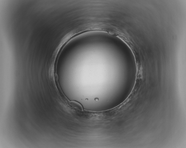 X0000111180099200907011418