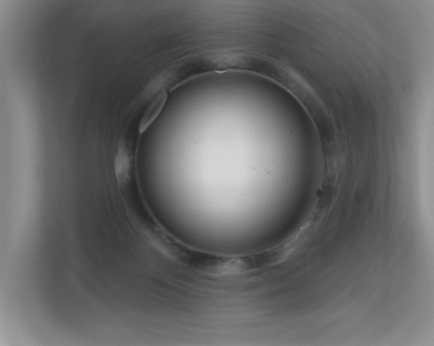 X0000111180124200907011418