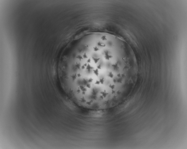 X0000111180131200907011417