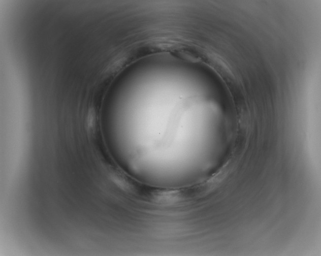 X0000111180132200907011417