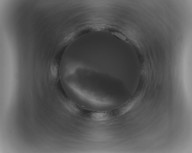 X0000111180139200907011417