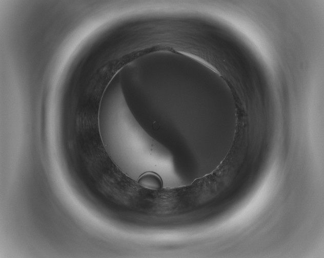 X0000111180143200907011417