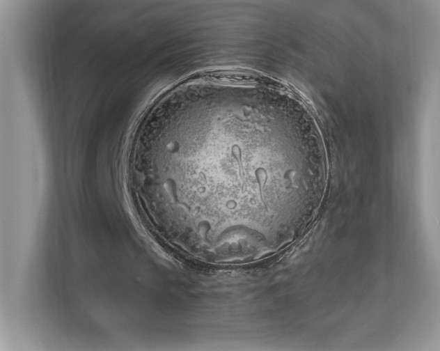 X0000111180145200907011417