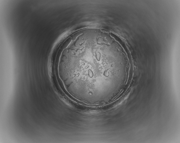 X0000111180149200907011417