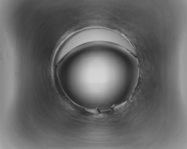 X0000111180152200907011417