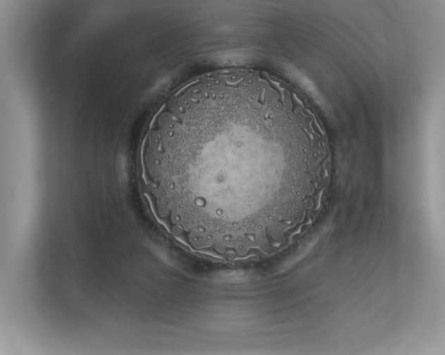 X0000111180161200907011417