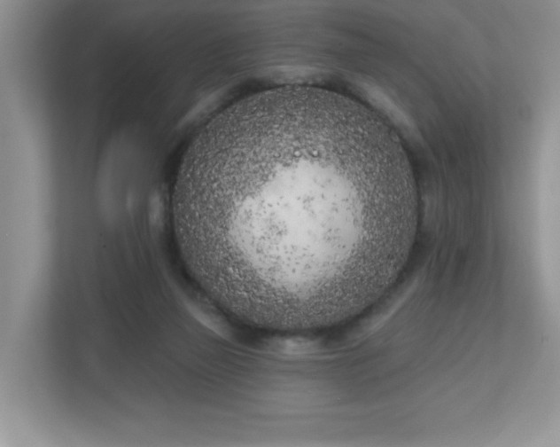 X0000111180165200907011417