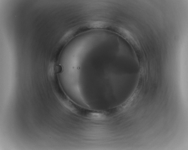 X0000111180167200907011417