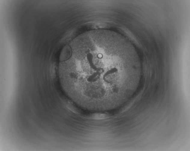 X0000111180169200907011417