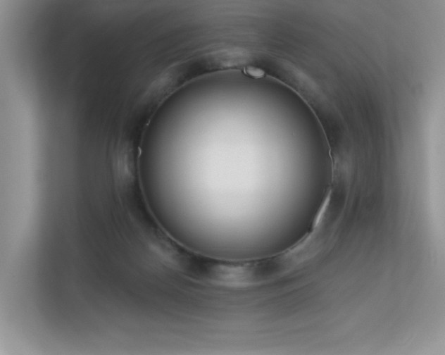 X0000111180170200907011417