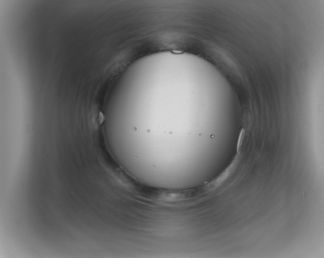 X0000111180174200907011417