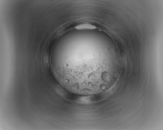 X0000111180178200907011417