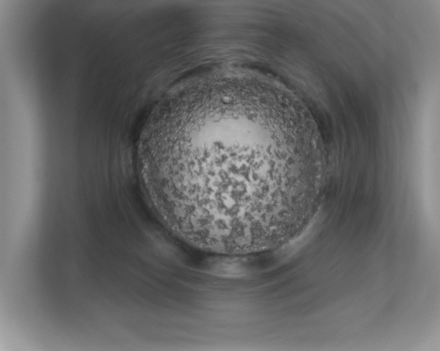 X0000111180182200907011417