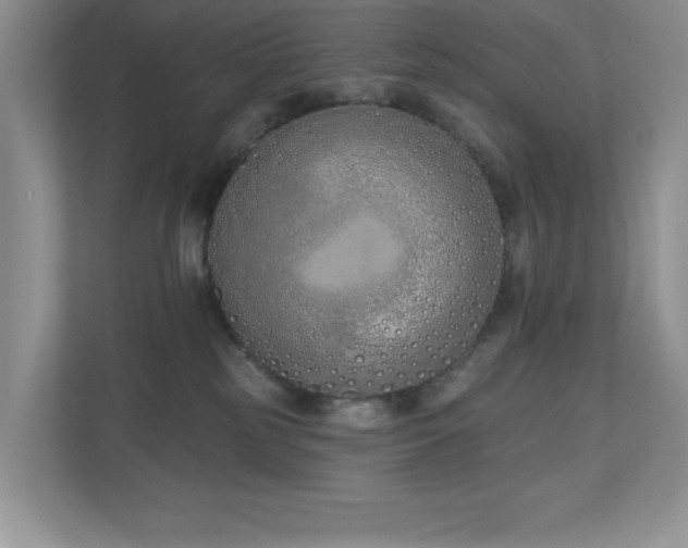 X0000111180185200907011417