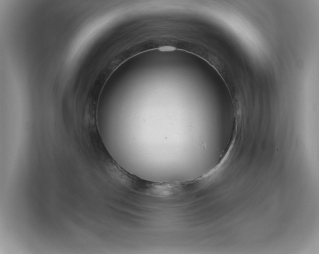 X0000111180190200907011417