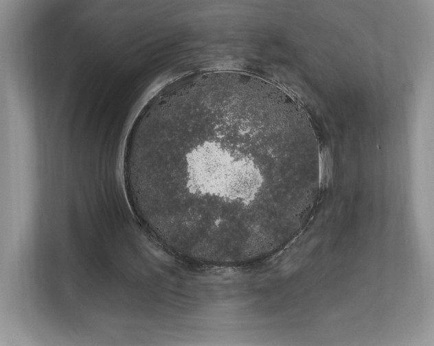 X0000111180195200907011417