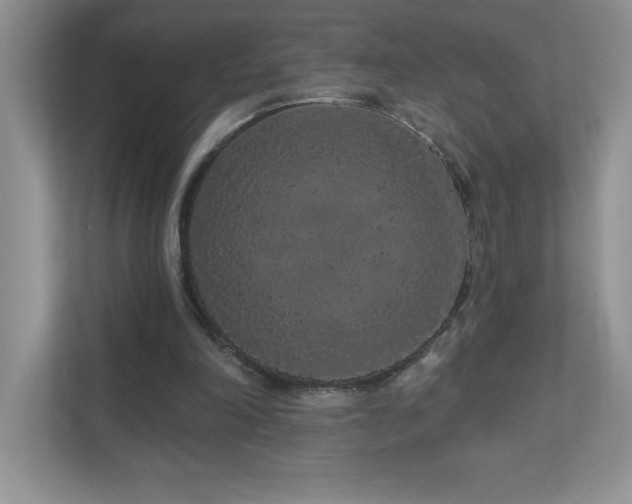 X0000111180198200907011417