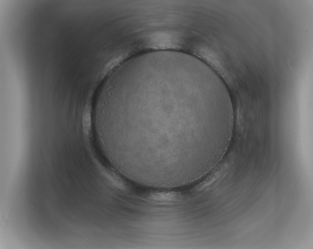 X0000111180202200907011417