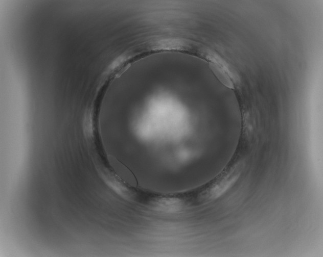 X0000111180203200907011416