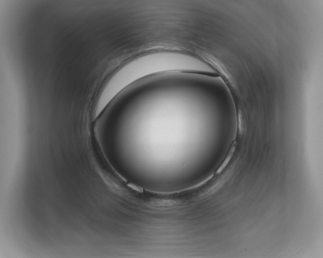 X0000111180205200907011416