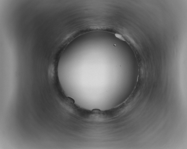 X0000111180211200907011416