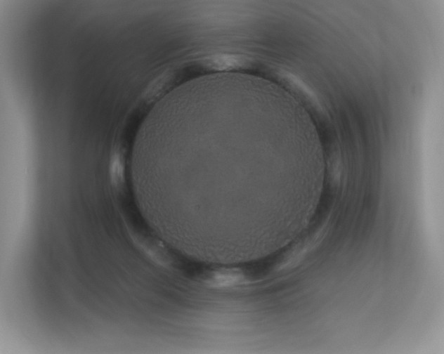 X0000111180214200907011416