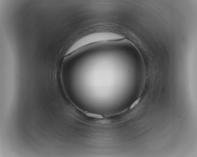 X0000111180217200907011416