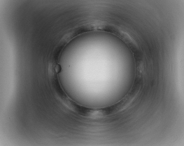 X0000111180218200907011416