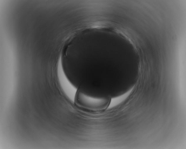 X0000111180219200907011416