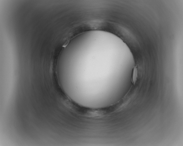 X0000111180221200907011416