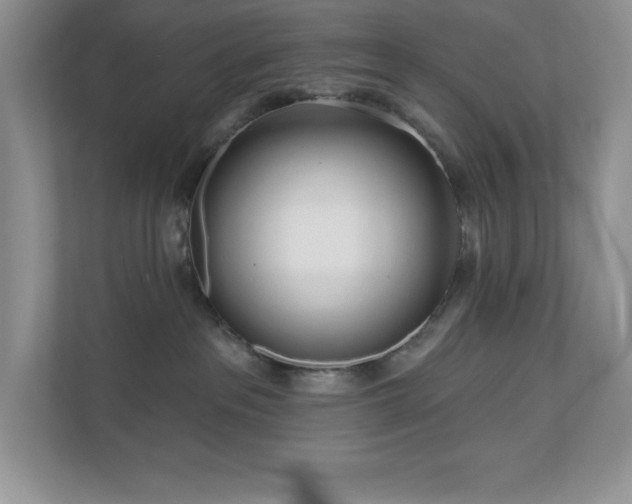 X0000111180237200907011416