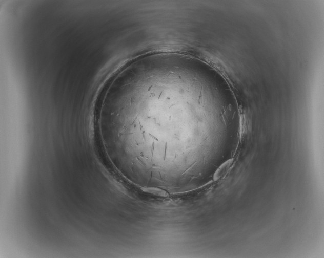 X0000111180243200907011415