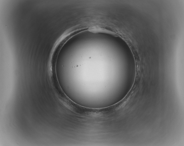 X0000111180246200907011415