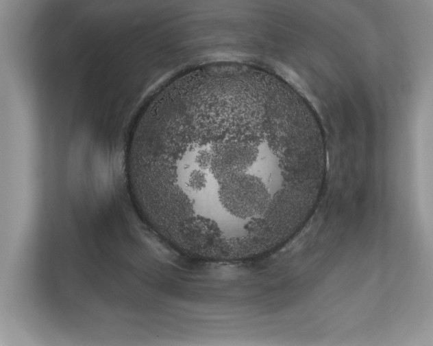 X0000111180249200907011415