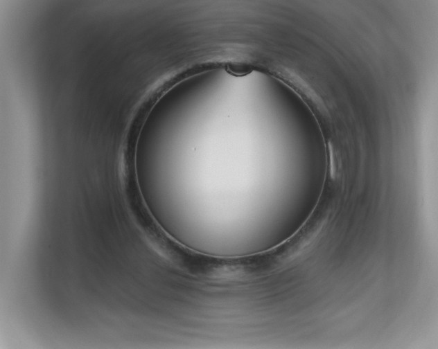 X0000111180252200907011416