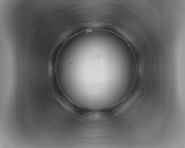 X0000111180254200907011416