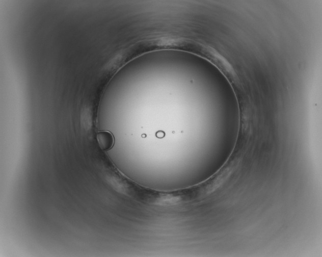 X0000111180257200907011416