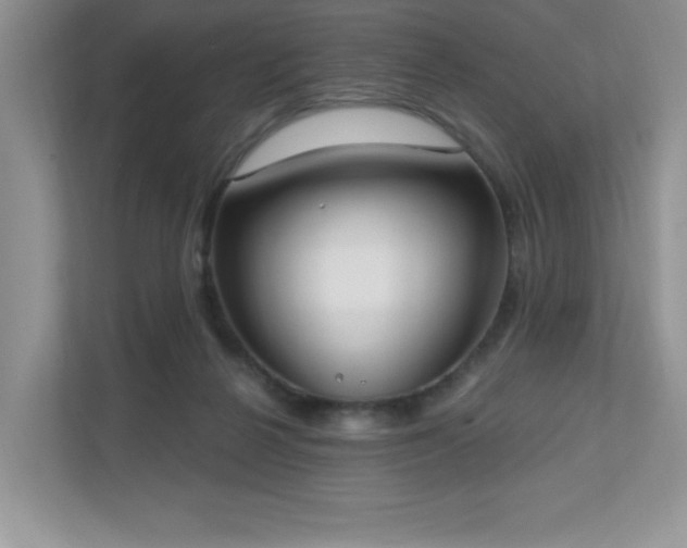 X0000111180264200907011416