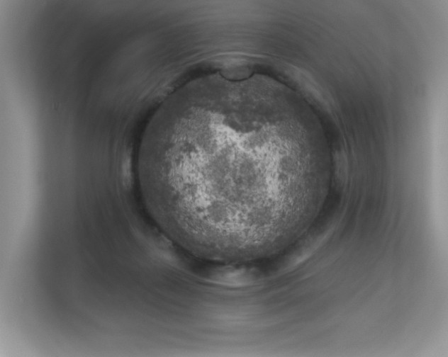 X0000111180267200907011416