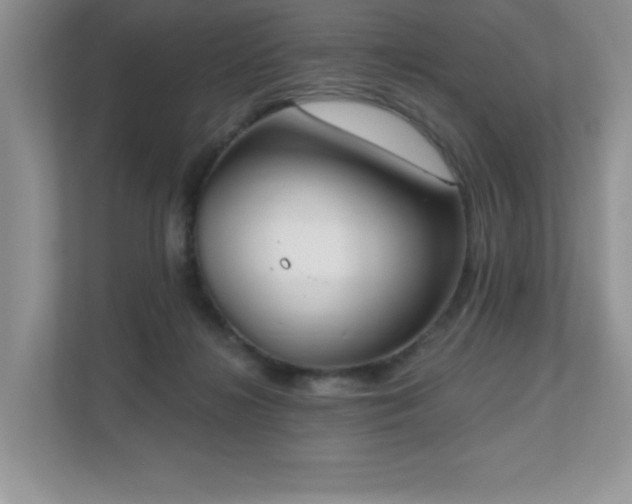 X0000111180268200907011416