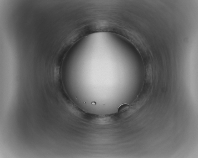 X0000111180278200907011416