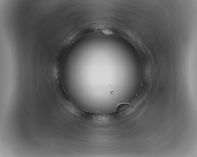 X0000111180282200907011416