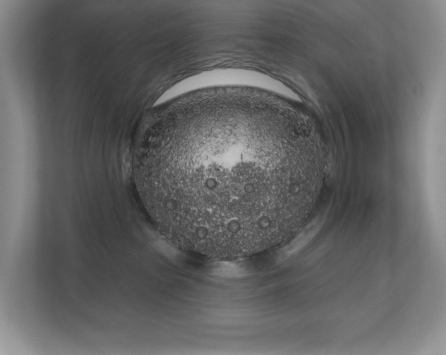 X0000111180285200907011416