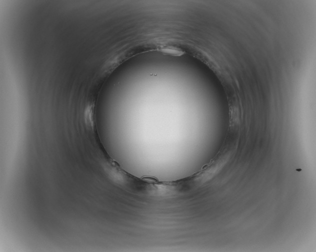 X0000111180286200907011416