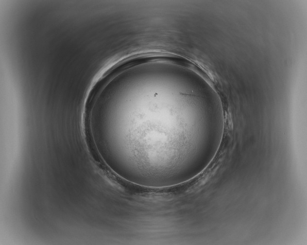 X0000111180292200907011415